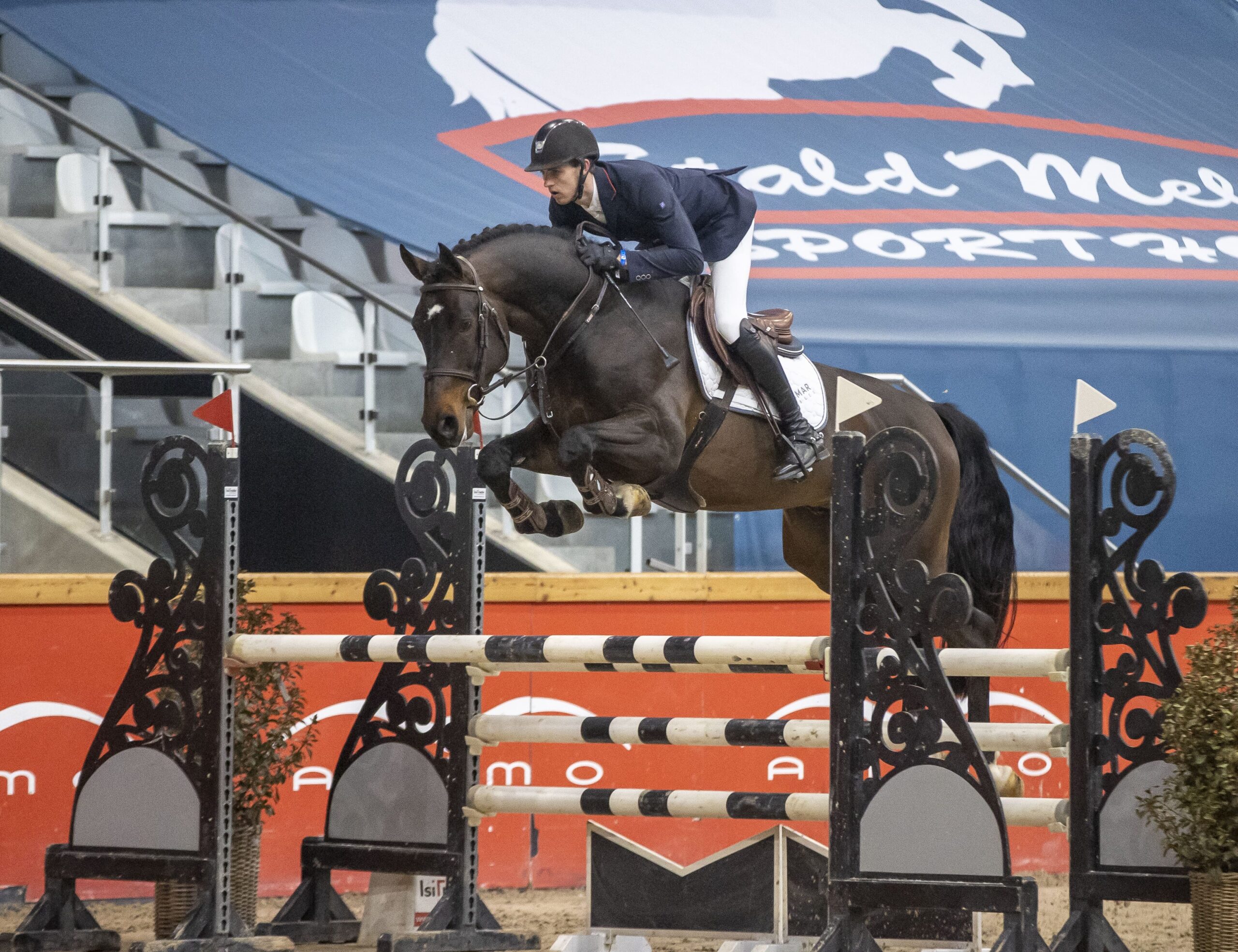 un étalon noir au saut avec cavalier